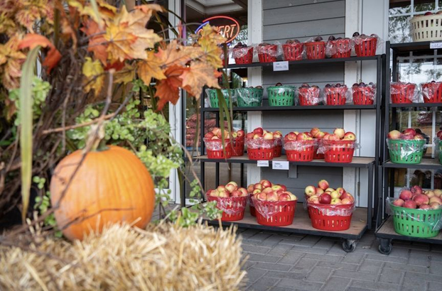 Parcours hanté au Verger Denis Charbonneau